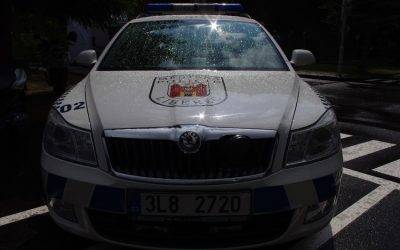 Férová nabídka / DGS 68 Koordinovaný odchyt mladého útěkáře