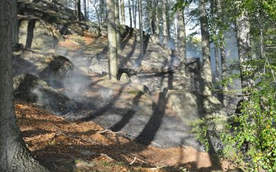 Obchody, nákupní centra, trhy, potraviny, farmářské trhy a stánky 27 VIDEO: U Raspenavy hoří několik hektarů lesa. Na místo byl povolán vrtulník