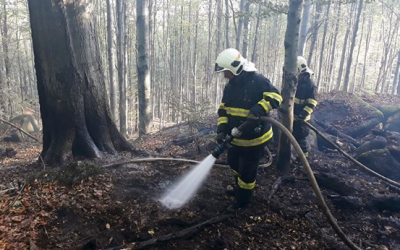 Obchody, nákupní centra, trhy, potraviny, farmářské trhy a stánky 29 U Raspenavy na Liberecku hoří les, s hašením pomáhá i vrtulník
