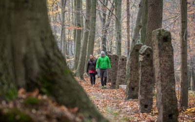 Obchody, nákupní centra, trhy, potraviny, farmářské trhy a stánky 23 Lidé už nemusí uskakovat před auty. Z Oldřichova vede nová lesní stezka
