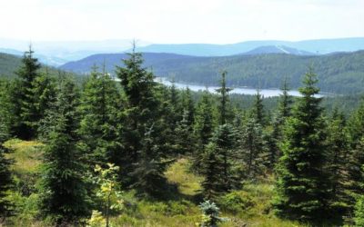 Uzavření silnice kolem přehradní nádrže Souš