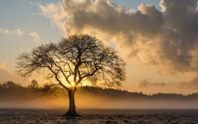 Obchody, nákupní centra, trhy, potraviny, farmářské trhy a stánky 28 Teplý podzim končí, v noci může mrznout, pršet bude dál málo