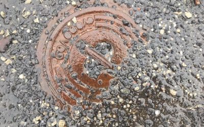 Restaurace, pohostinství, jídelny, kavárny, čajovny a bistra 24 FVS plánuje v roce 2020 investovat do obnovy infrastruktury 23,5 milionu korun