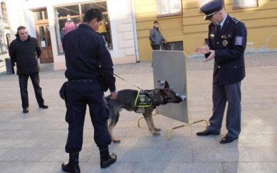 Psovodi z Ruska, Gruzie a Peru převzali ve Frýdlantu závěrečné certifikáty