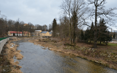 U Zeleného stromu / Restaurace 27 Kácení u tenisových kurtů