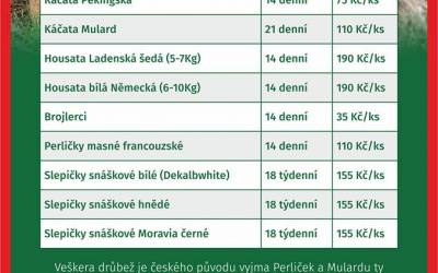 TJ Jiskra Višňová 21 Novinky z FAJN ZOO Frýdlant pro letošní jaro