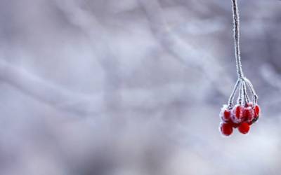 TJ Jiskra Višňová 21 Bude se ochlazovat. Koncem pracovního týdne se vrátí zima a sníh
