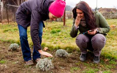 Listopadový workshop v raspenavské Levandulovně o ekologickém pěstování květin