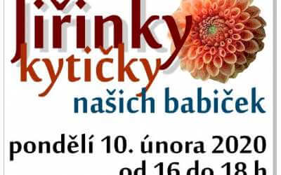 Jiřinky, kytičky našich babiček