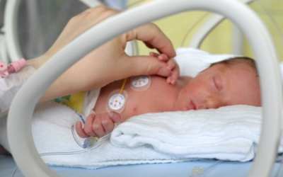 Férová nabídka / DGS 39 CiS shání brigádníky pro výrobu důležitých produktů! Nástup možný ihned