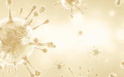 freedlantsko.eu 44 Přehled opatření, která začnou platit od pondělí 5. října 2020