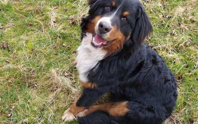 Frýdlant se v sobotu skvěle bavil! 11 Hledá se Lord