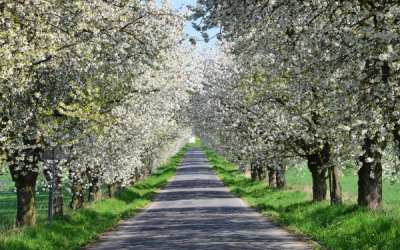 Frýdlant se v sobotu skvěle bavil! 8 Vyfotografujte své zamilované místo a soutěžte s Libereckým krajem o ceny