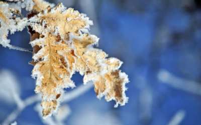 Frýdlant se v sobotu skvěle bavil! 7 O prodlouženém víkendu léto, v pondělí udeří zima. Na horách může napadnout 25 cm sněhu