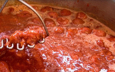 Na Liberecku se bude vybírat nový senátor. Obhájit chce Canov, hlásí se liberecká náměstkyně 6 Džem, jam, marmeláda. Umíte ten nebo tu „nej“? Přihlaste se do JamParády!