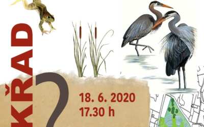 Akce na Frýdlantsku 7 Mokřad? Prezentace hejnického mokřadu v jiném kabátě…