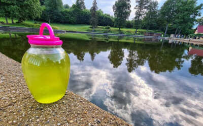 Čarodějnice v Lázních Libverda 11 V Hejnicích musí vypustit koupaliště. Znečistil ho dětský sliz, voda je zelená