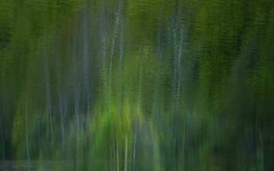 Čarodějnice v Lázních Libverda 13 ANKETA: Zaostřeno na krásu Jizerských hor. Pomozte vybrat tu nejlepší fotografii