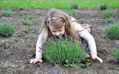 Čarodějnice v Lázních Libverda 7 Ve Francii jí učarovaly levandule, teď si na farmě pod Jizerkami plní sen