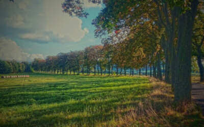 V Dolní Řasnici proběhne ve čtvrtek setkání k větrníkům, organizátorka zve příznivce i odpůrce projektu 10 Obce mohou z Programu obnovy venkova čerpat přes 25 milionů korun