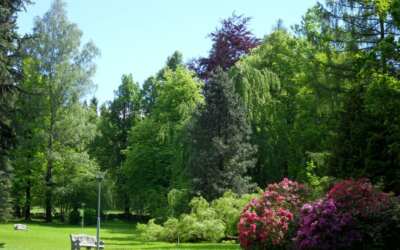 Zahradní slavnosti v Lázních Libverda