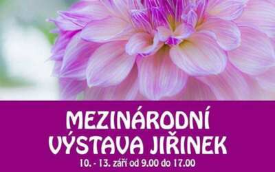 Akce na Frýdlantsku 1 Mezinárodní výstava jiřinek 2020