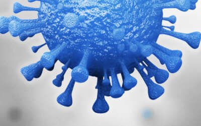 freedlantsko.eu 43 Při nedodržování opatření hrozí totální uzavření země