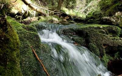 Čarodějnice v Lázních Libverda 12 Podpořte prosím celovečerní dokument o Jizerských horách na portálu Hithit