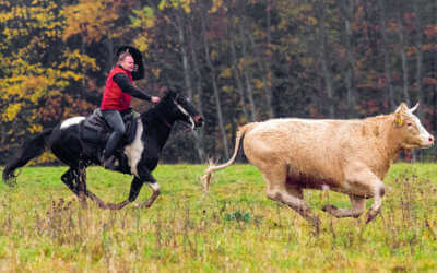 Čarodějnice v Lázních Libverda 7 Čas od času se promění pastviny na Frýdlantsku v Divoký západ…