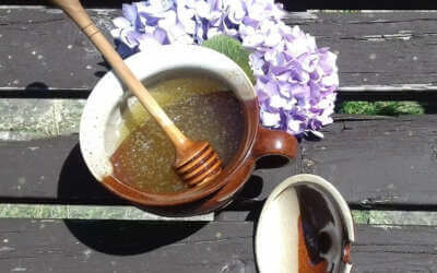 freedlantsko.eu 45 Med, svíčky, propolis i mateří kašička. Regionální výrobci jsou pilní jako včelky