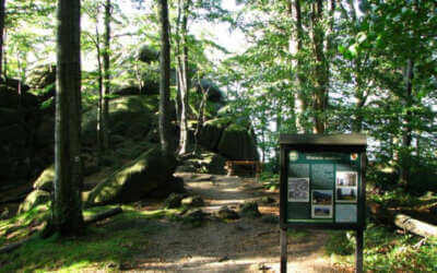 TJ Jiskra Višňová 20 Tajemná chodba i loupežníci. Trosky skalního hradu v Oldřichově obestírá tajemství