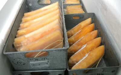 TJ Jiskra Višňová 20 Krajská nemocnice Liberec hledá dárce krevní