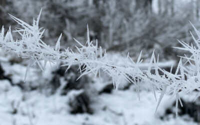 TJ Jiskra Višňová 22 Čekají nás dva mrazivé týdny. Potom se oteplí