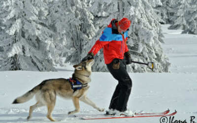 TJ Jiskra Višňová 25 (NE)OBYČEJNÍ: Letecký inženýr, který má v Jizerkách malou farmu a ve volnu zachraňuje životy