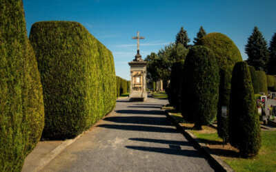 Střední školy v Libereckém kraji zůstanou příští týden otevřeny 13 Revitalizace dřevin na hřbitově ve Frýdlantu – II. etapa