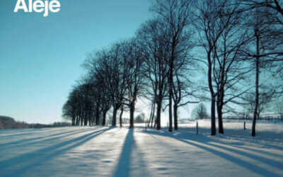 „Přežije-li kultura, přežije národ“, to je motto kampaně pracovníků kulturních organizací z Libereckého kraje 8 O vegetaci podél silnic kraj pečuje příkladně. V hodnocení společnosti Arnika je na prvním místě