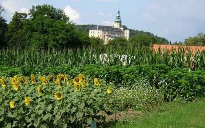 Kunratice rozdaly hasičské poháry / Fotoreportáž 2023 6 OBRAZEM: Zemědělství na Frýdlantsku vzkvétá i díky místní škole