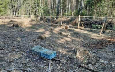 „Přežije-li kultura, přežije národ“, to je motto kampaně pracovníků kulturních organizací z Libereckého kraje 9 Nové stromky v Jizerkách: Zatím jsou vysoké jen pár centimetrů, jednou z nich ale bude hustý les