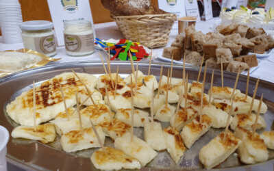 Ubytování, penziony, hotely, chaty, chalupy, resorty, hostely, motoresty a kempy 29 Regionálními potravinami se staly cvikovské pivo, sýr z Jeřmanic i med z Frýdlantska