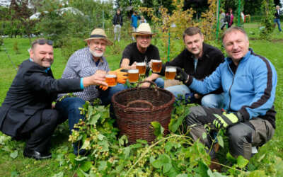 Potraviny Měděnka Hejnice 22 Z frýdlantského chmele se letos uvaří piva Hospodář, Čeledín a nově i Kočí
