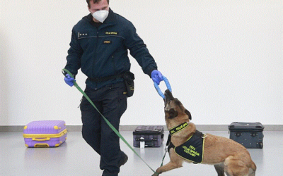 Do Heřmanic jezdí psovodi z celého světa, v nové hale je cvičení psů snazší