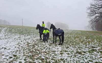 Liberecká policie poprvé při obhlídkách na Frýdlantsku využila koně. Hlídají chatařskou oblast