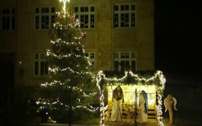 Výsledky ankety: Čtenáři vybrali nejkrásnější vánoční strom Liberecka