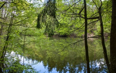 CiS systems s.r.o. hledá do týmu kolegu na pozici Technik kvality 9 Kraj letos znovu rozdělí obcím 18 milionů korun na projekty vodohospodářské infrastruktury