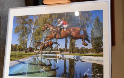 Vše přehledně na jednom místě. Kraj spustil web k očkování 8 Ve vestibulu radnice můžete obdivovat fotografie zachycující krásu a ladnost koní