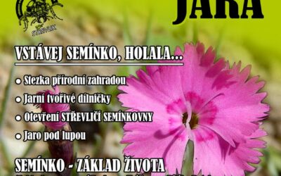Vítání jara se Střevlíkem – Vstávej semínko, holala…