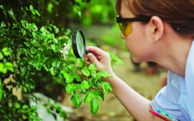 Férová nabídka / DGS 67 Kurz pro nakládání s přípravky na ochranu rostlin