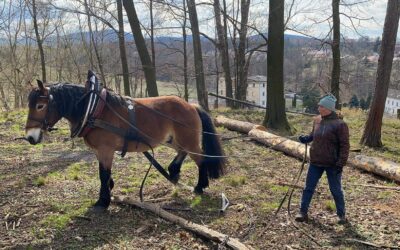 Férová nabídka / DGS 66 Workshop na Střední škole hospodářské a lesnické Frýdlant