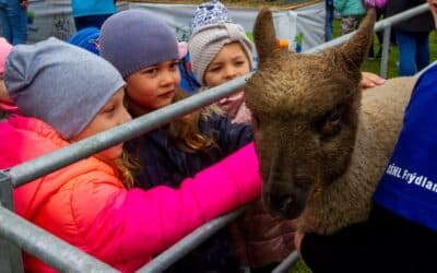 CiS systems s.r.o. hledá do týmu kolegu na pozici Technik kvality 13 Ve Frýdlantě se po tříleté pauze konala opět Zemědělská olympiáda