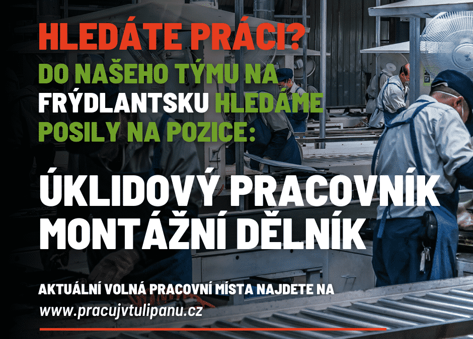 Sdružení TULIPAN hledá posily do pracovního týmu na Frýdlantsku